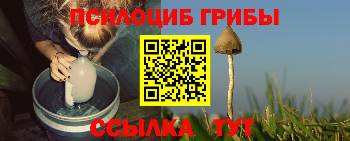 Галлюциногенные грибы мухоморы  Вход с VPN  Вышний Волочёк 